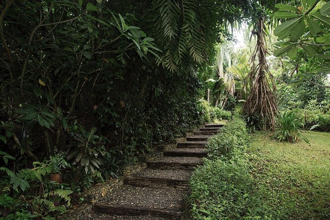 Mandala Wellness Spa in Boracay - What $56 gets you in practical terms