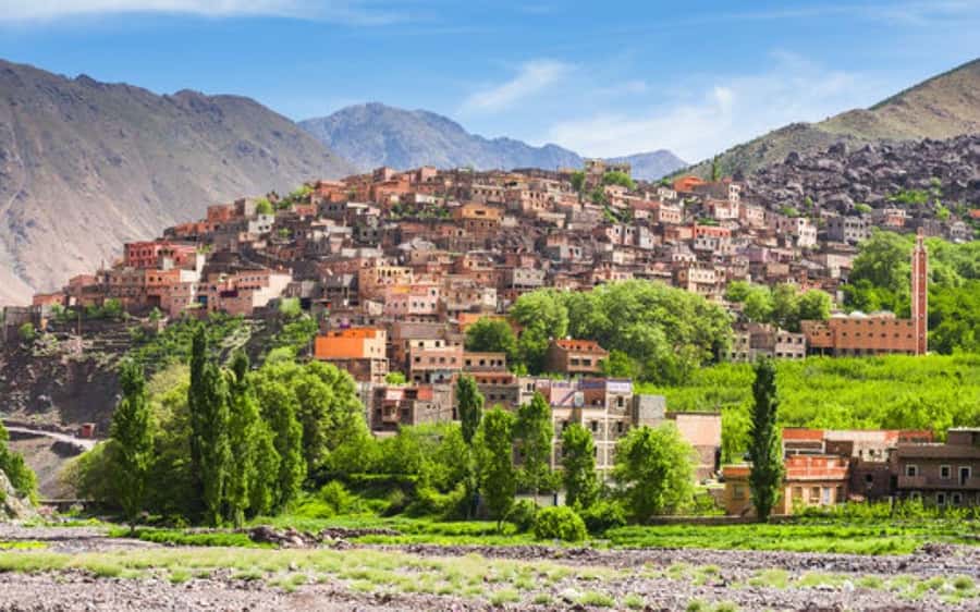 Marrakech: Berber Spa and Traditional Hammam with Steam Room - Key Points Before You Book