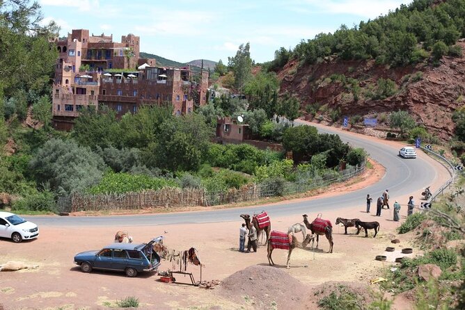 Marrakech: Blissful Spa Escape & Romantic Candlelight Dinner - The argan oil massage after the scrub