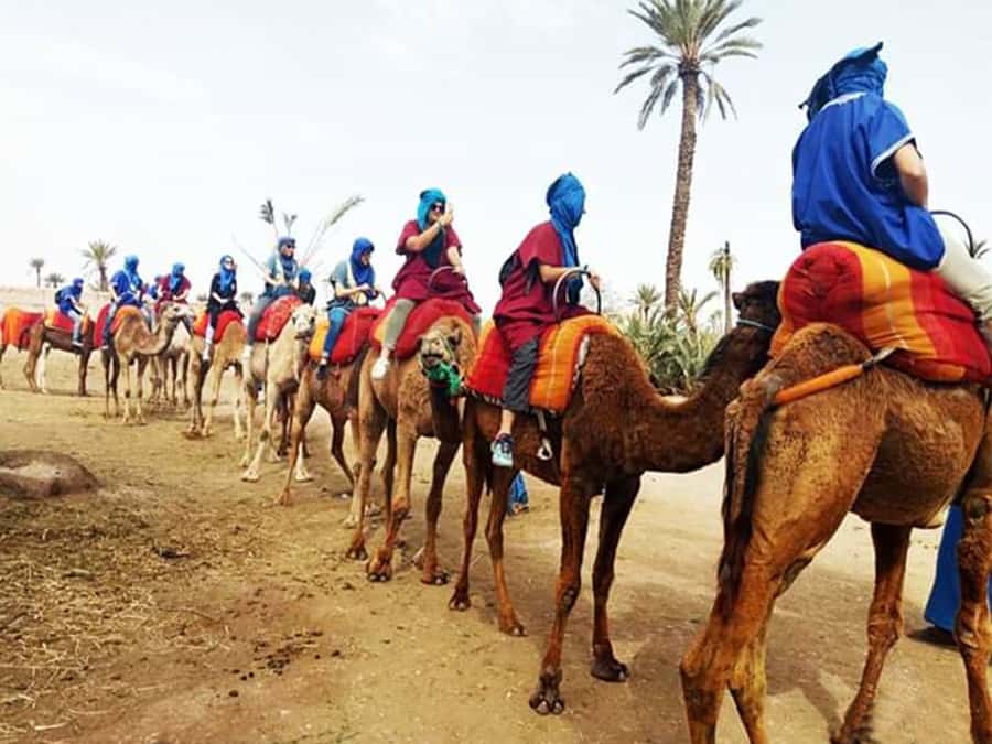 Marrakech: Half-Day Tour with Buggy Ride, Camel Ride and Spa - The 1-hour-45-minute buggy ride
