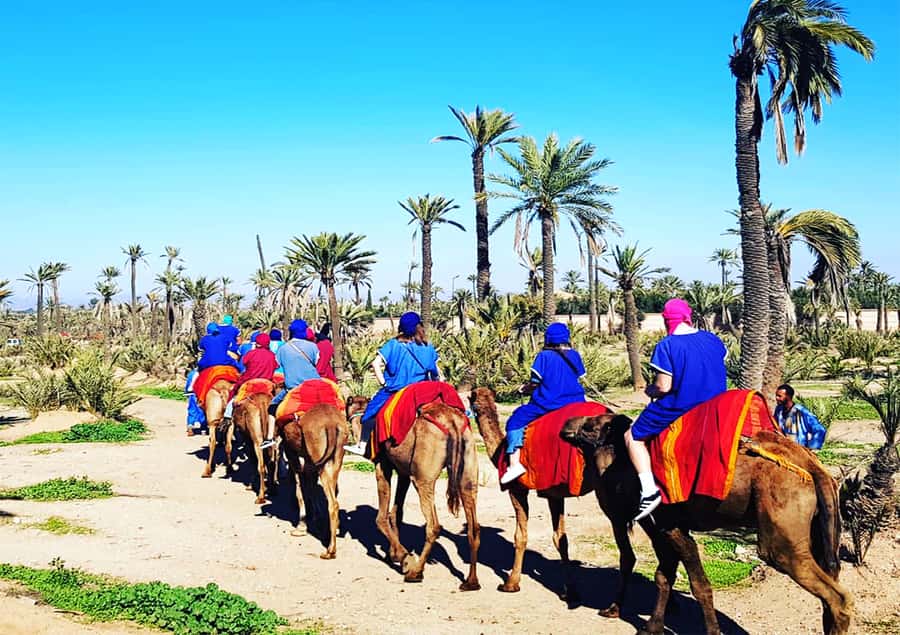 Marrakech: Half-Day Tour with Buggy Ride, Camel Ride and Spa - The camel ride near the city