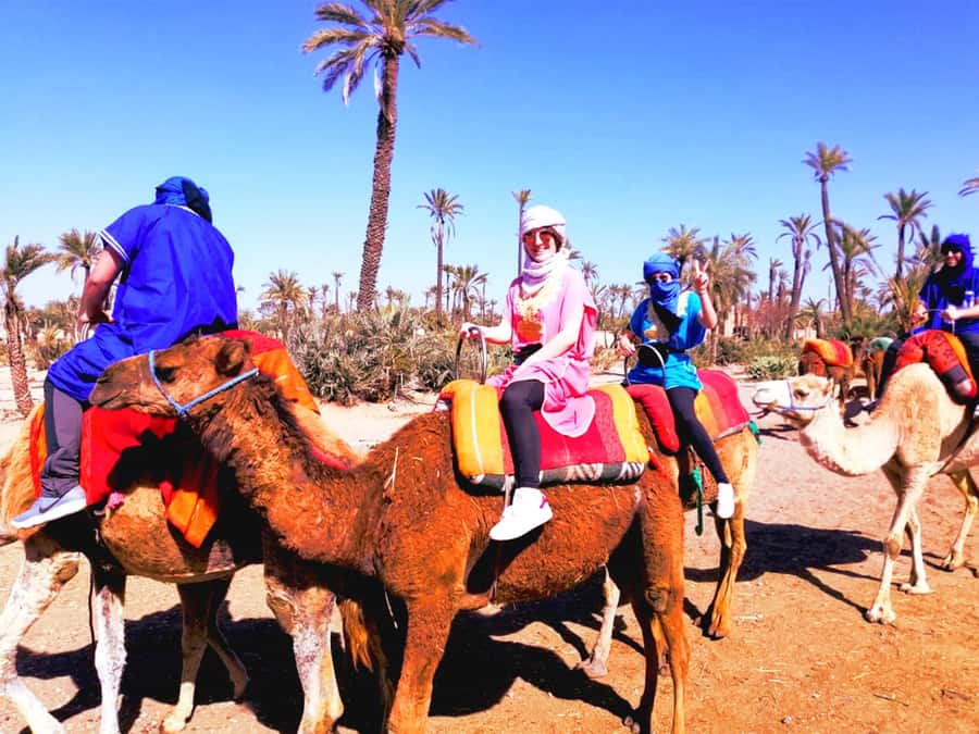Marrakech: Half-Day Tour with Buggy Ride, Camel Ride and Spa - Who will enjoy this outing most?