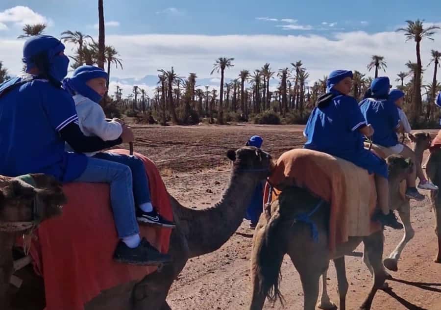 Marrakech: Palmeraie Camel Ride & Traditional Moroccan Spa - Mint tea in a nomadic-style tent