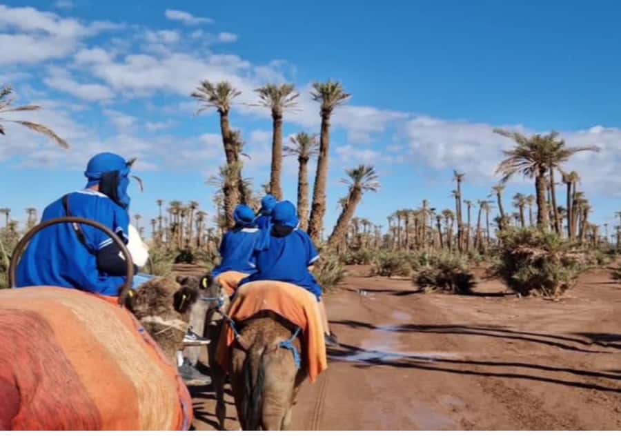 Marrakech: Palmeraie Camel Ride & Traditional Moroccan Spa - Returning to the medina for the hammam