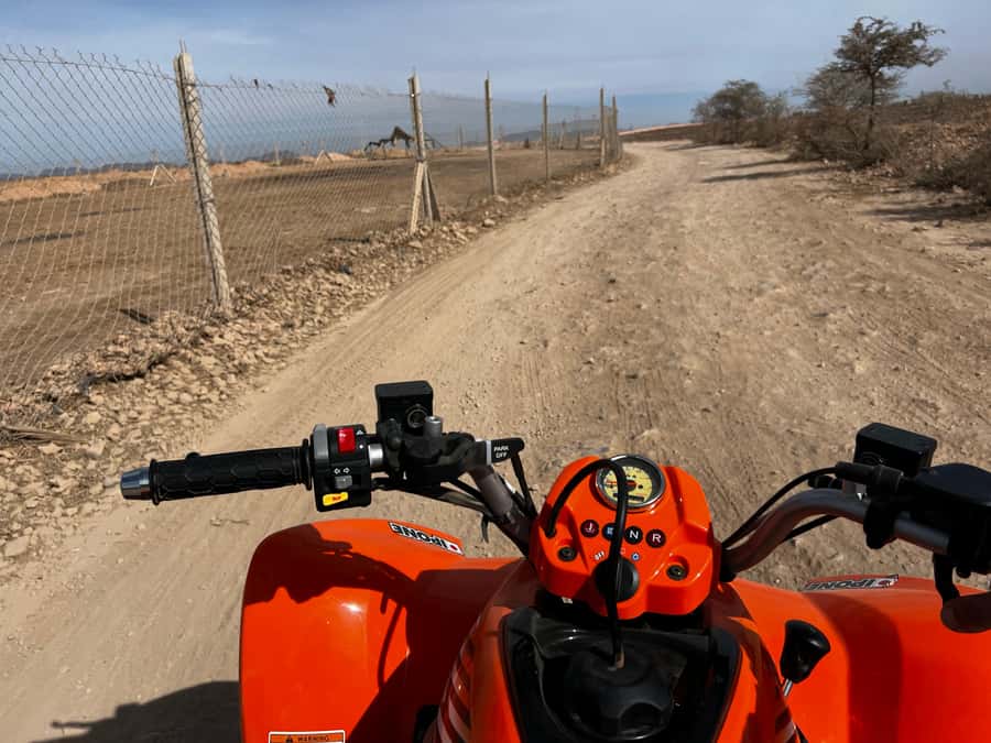 Marrakech Tour: Quad bike, Lunch in Palm Grove, Hammam & SPA - Returning to Marrakech for tea and a break