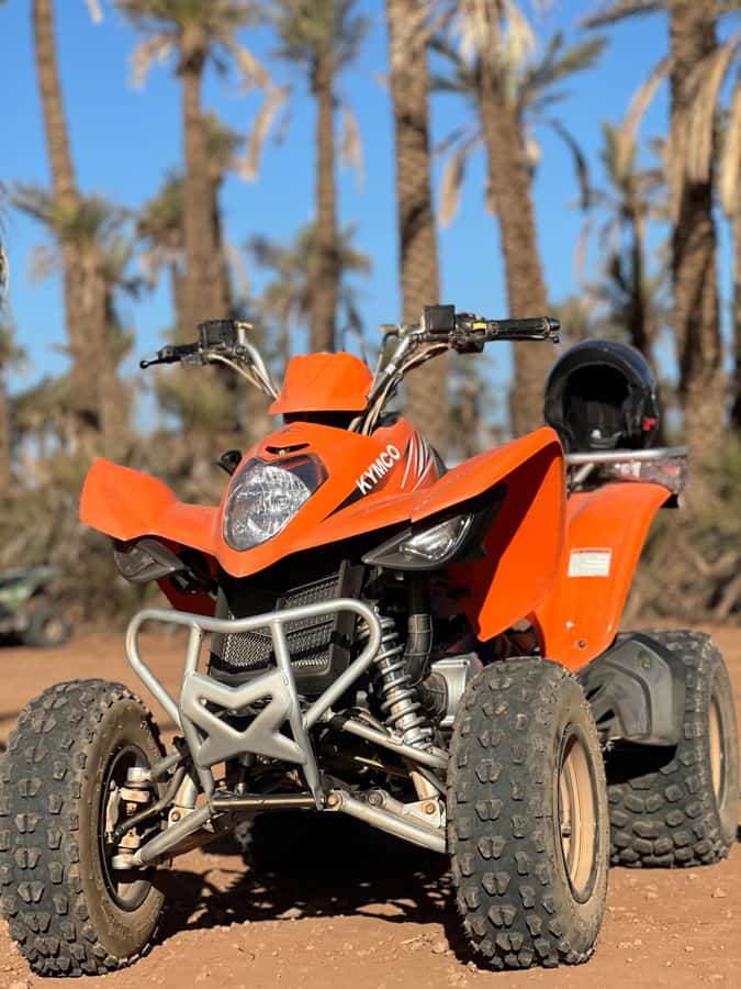 Marrakech Tour: Quad bike, Lunch in Palm Grove, Hammam & SPA - The Hammam ritual and spa treatment