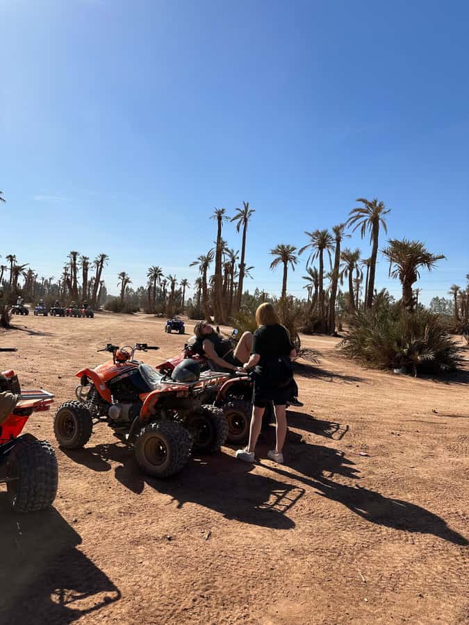 Marrakech Tour: Quad bike, Lunch in Palm Grove, Hammam & SPA - Who will enjoy this day most