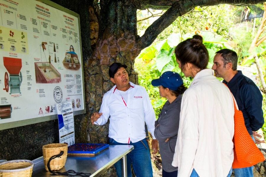 Medellin: Coffee Farm Tour & Spa with Overnight Glamping - Morning coffee starts with the farm itself