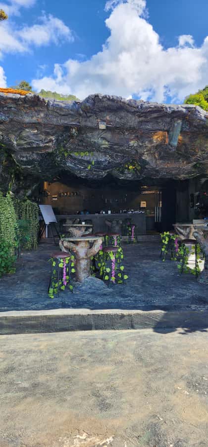 Medellin: Coffee Farm Tour & Spa with Overnight Glamping - Who will enjoy this mountain coffee stay