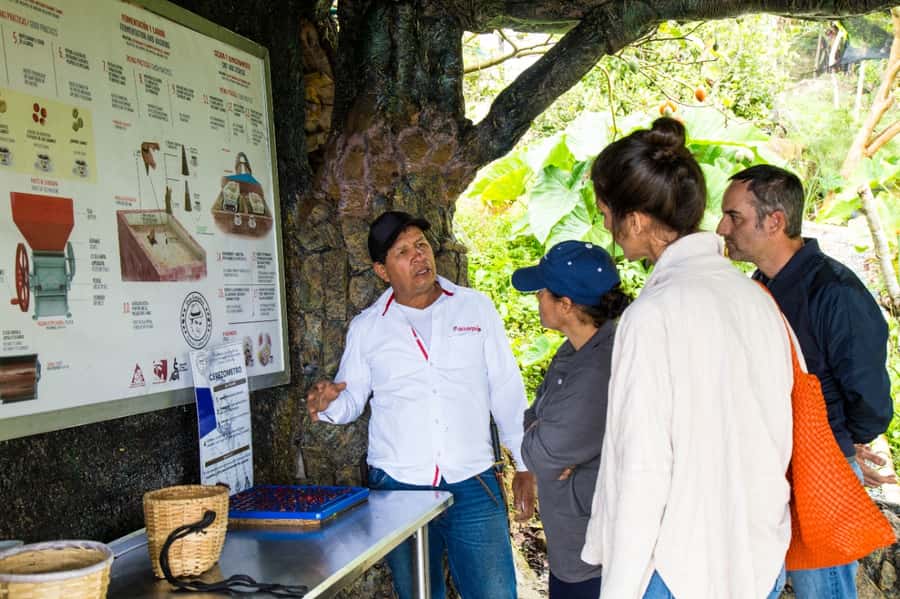 Medellin: Coffee Tour and Wellness Spa - The coffee tasting and barista presentation