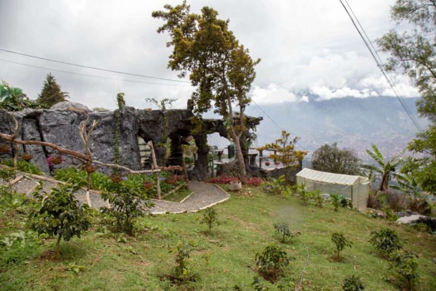 Medellin: Coffee Tour and Wellness Spa - Is the $88 price good value?