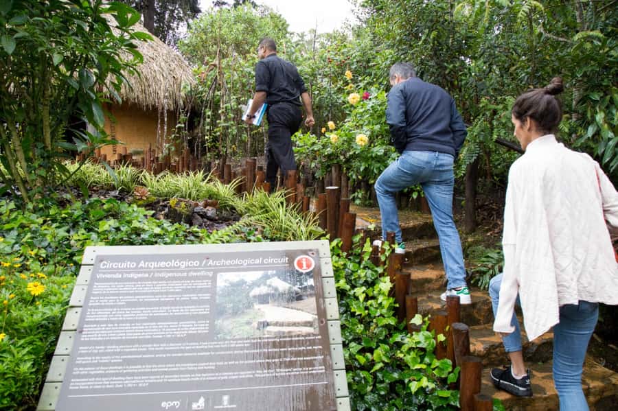 Medellin: Coffee Tour and Wellness Spa - Who will enjoy this most?