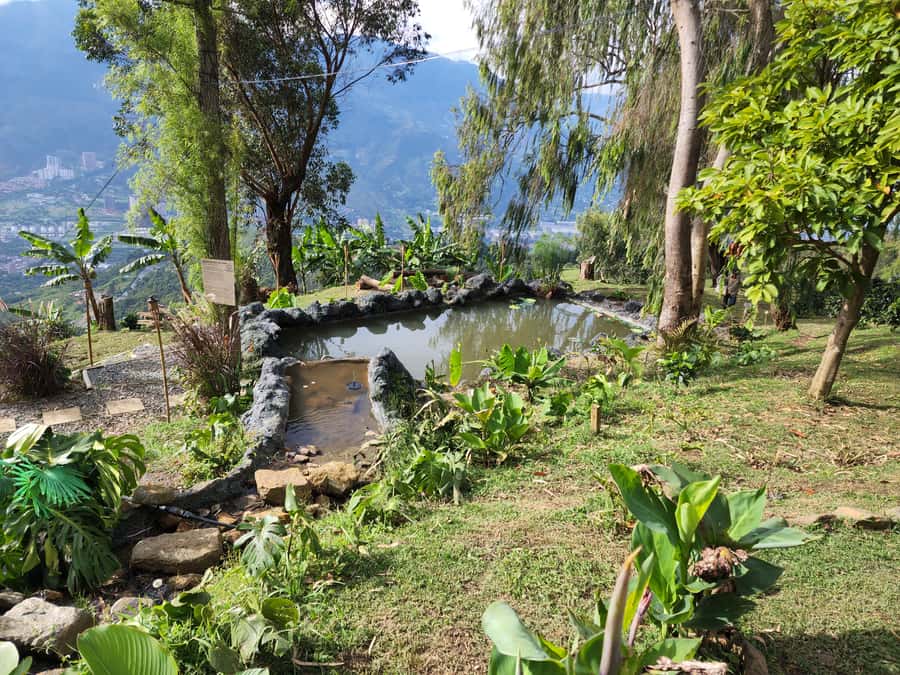 Medellin: Glamping Spa and coffee tour Experience - Key details before you book