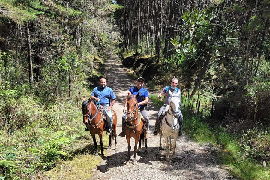 Medellin: Horseback Riding Coffee Farm Tour with Coffee Spa - Starting at Arvi Metro Cable Station