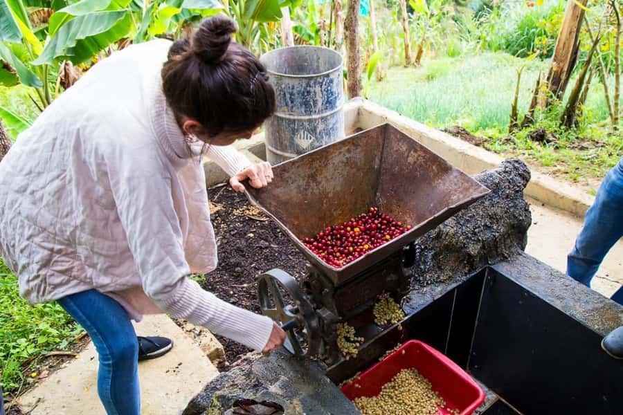 Medellin: Horseback Riding Coffee Farm Tour with Coffee Spa - Timing, group size, and overall value