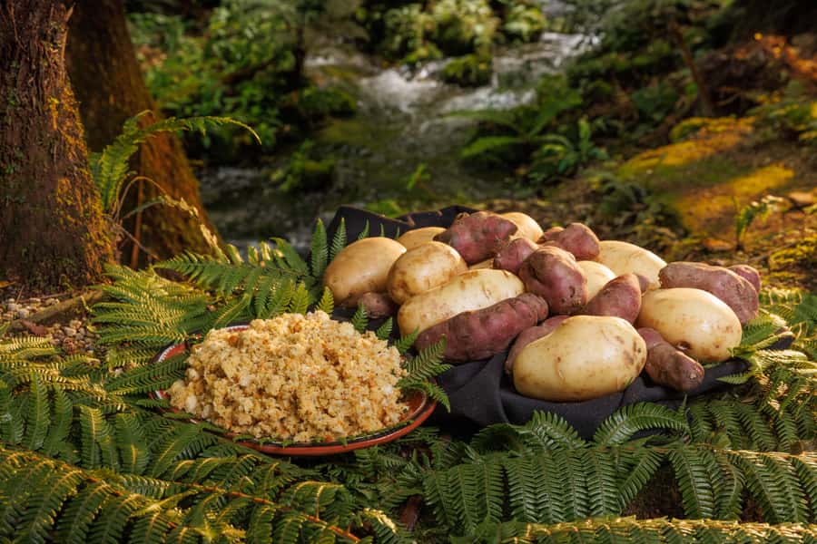 MITAI MAORI VILLAGE Night XP & Polynesian Spa from Auckland - Who should book this experience