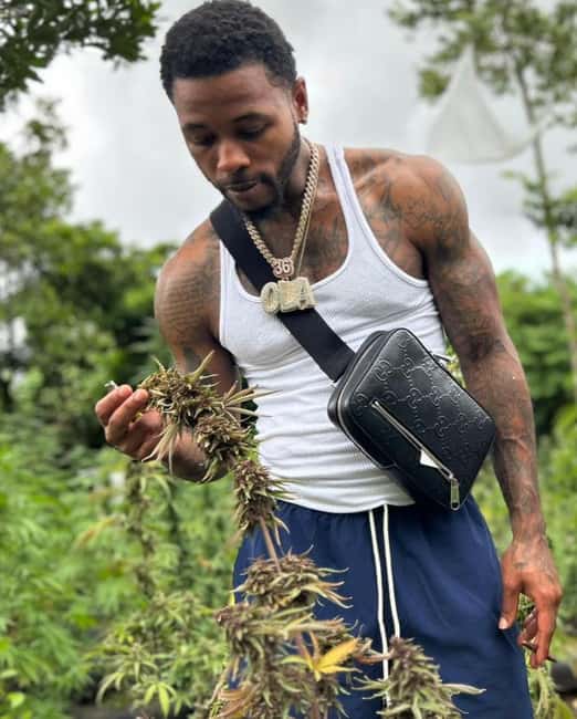 Montego Bay: Cannabis Farm, Bamboo Rafting, & Foot Massage - Three Jamaican experiences in one short outing