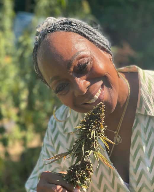 Montego Bay: Cannabis Farm, Bamboo Rafting, & Foot Massage - Hotel transfers from northwestern Jamaica