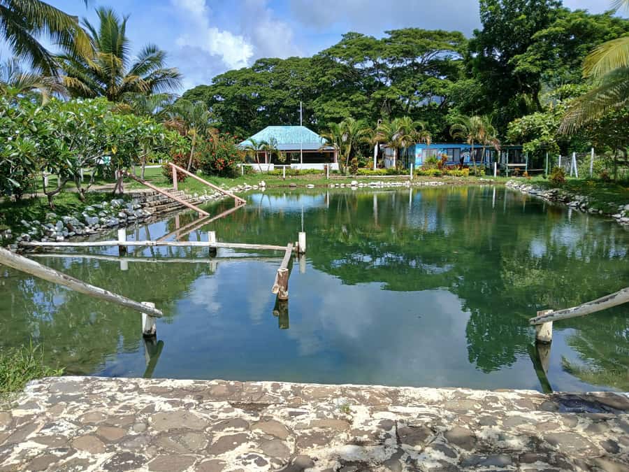 NADI-SABETO: Tifajek Hot Spring and Mudpool Natural Spa - Arriving at Tifajek Hot Springs