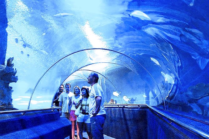 Nha Trang : Enjoy Your Best Of Nha Trang City & Relax In Spa - Long Son Pagoda and the city’s religious side