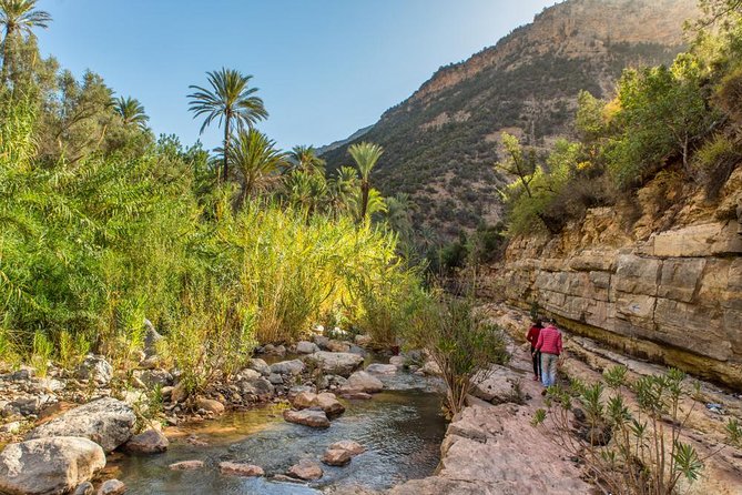 Paradise Valley Trip with Hammam Massage - Practical details before you book