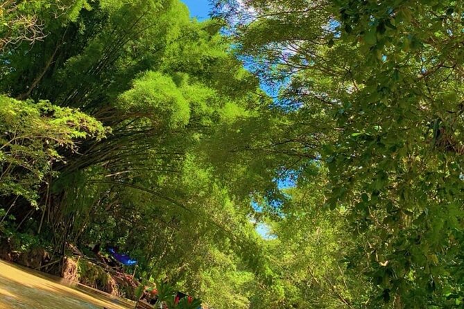 Private Bamboo River Rafting & Foot Massage from Montego Bay - The transport and service details that matter