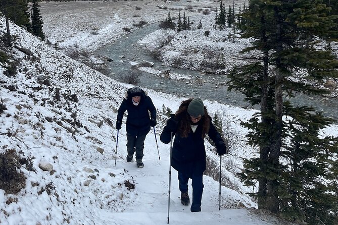 Private Guided Hike: Adventure & Wellness in Banff - Alpine lunch, snacks, and practical comfort