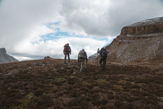 Private Guided Hike: Adventure & Wellness in Banff - Choosing between mountain trails and waterfall hikes