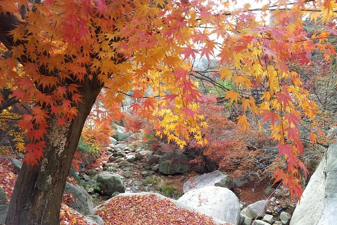 Private Hiking to Bukhansan & Korean Style Spa(Include Lunch) - Private guiding and the value of the $182 price