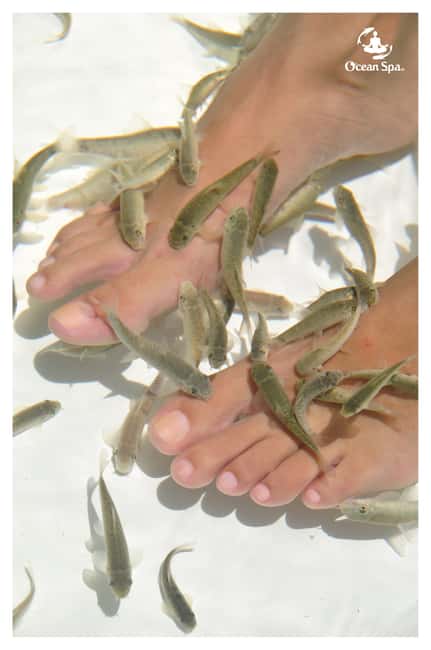 Punta Cana Floating Ocean Spa Experience with Massage & Yoga - The massages and body exfoliation