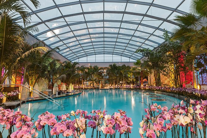 Relax and Fun at Thermal Spa Bucharest (Admission Ticket) - Key points before you go