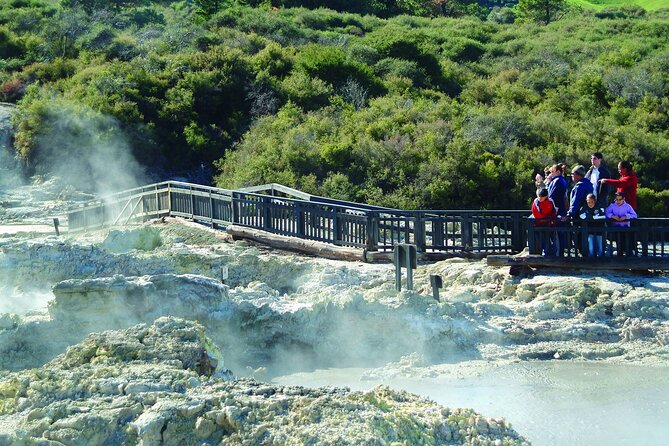 ROTORUA - Hell's Gate Geothermal Park & Mud Spa Day Trip - What the guides add to the day