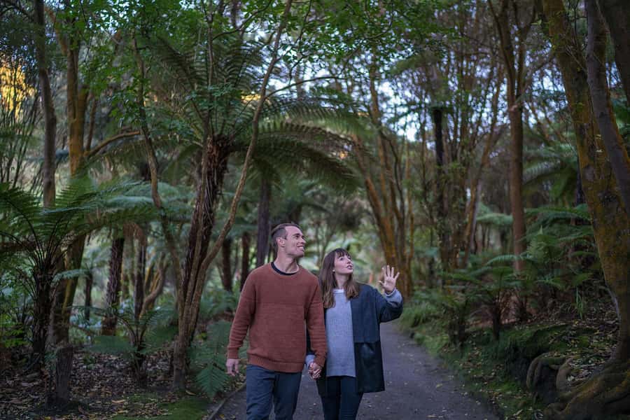 Rotorua: Hell's Gate Outdoor Mud Spa & Guided Walk - Walking through a living thermal field