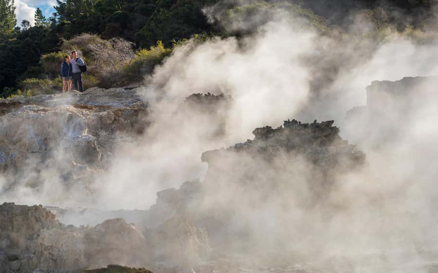 Rotorua: Hell's Gate Outdoor Mud Spa & Guided Walk - The mud bath: short, warm, and memorable