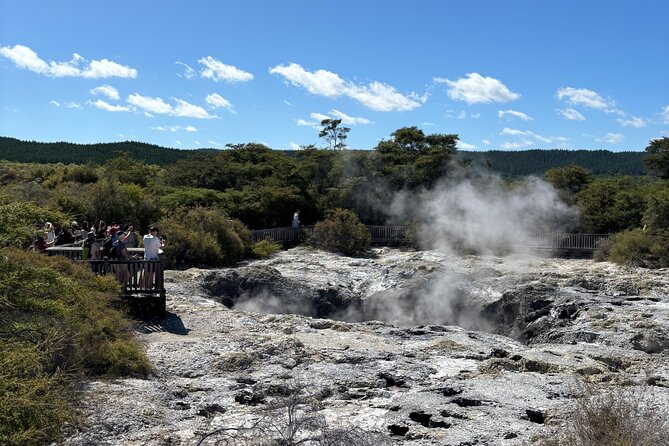 Rotorua: WaiOtapu & Redwood forest & Blues springs from Auckland - The 6:00 am Auckland start