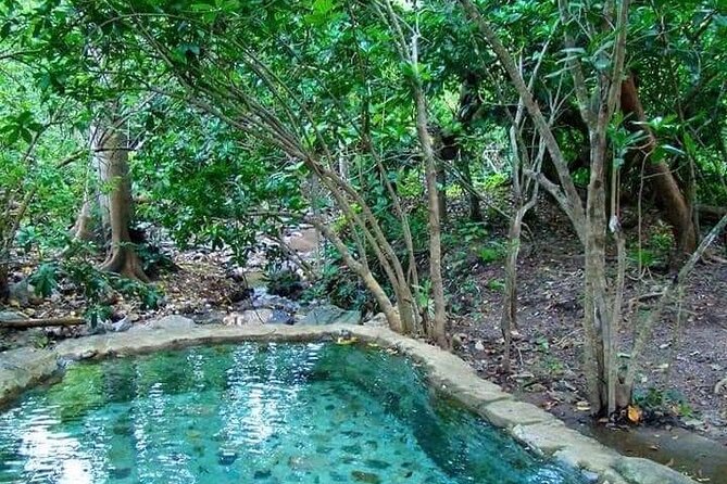 Shaded Hot Spring, Massage and Mex Grill in Puerto Vallarta - A market stop and tortillas fresh from the press