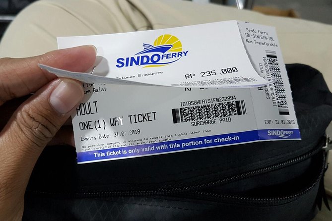 Singapore to Batam Day Tour (with Ferry Tickets & Spa Masage) - Arriving at Batam Centre Ferry Terminal