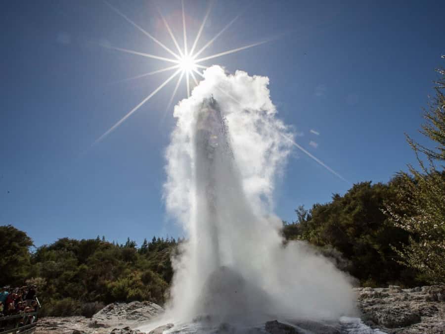 Tauranga: Wai-o-Tapu with Redwood Forest Walk or Forest Spa - Key points at a glance