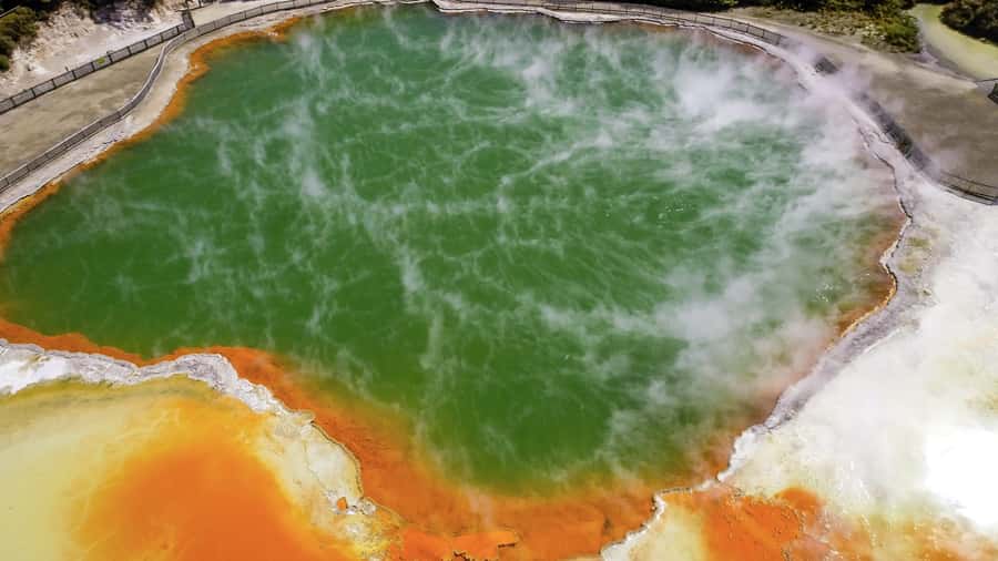 Tauranga: Wai-o-Tapu with Redwood Forest Walk or Forest Spa - Why this Tauranga shore excursion works