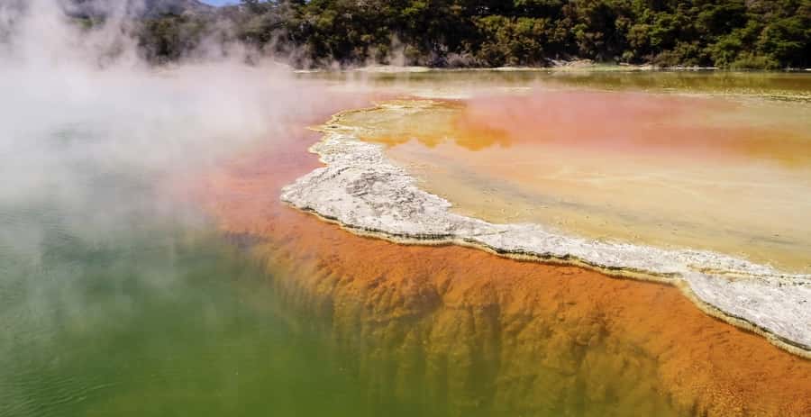 Tauranga: Wai-o-Tapu with Redwood Forest Walk or Forest Spa - Wai-o-Tapu’s volcanic colours and bubbling mud