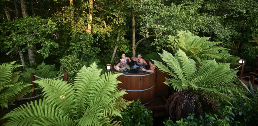 Tauranga: Wai-o-Tapu with Redwood Forest Walk or Forest Spa - Choosing your Redwood Forest ending