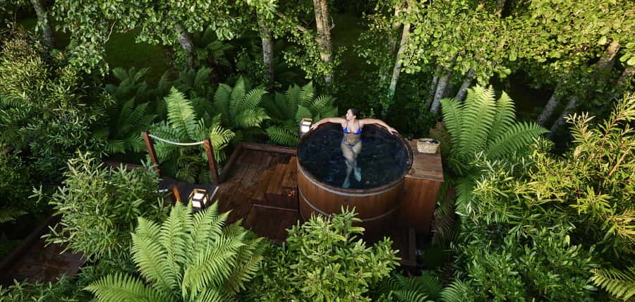 Tauranga: Wai-o-Tapu with Redwood Forest Walk or Forest Spa - Is $166 good value?