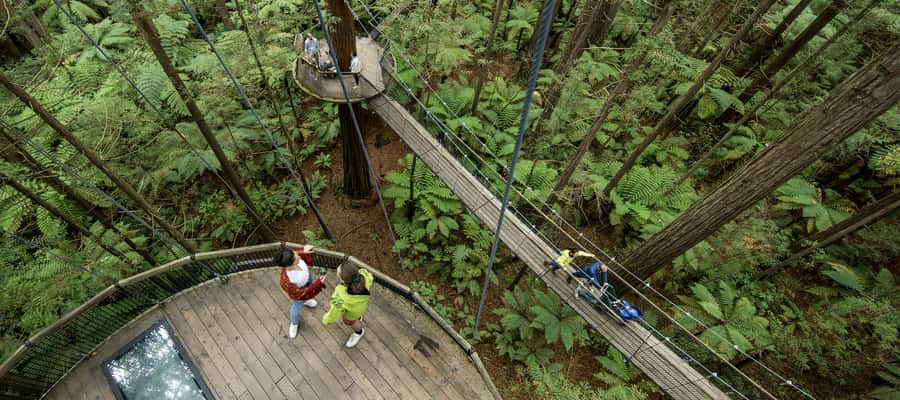 Tauranga: Wai-o-Tapu with Redwood Forest Walk or Forest Spa - Should you book the Wai-o-Tapu and Redwood Forest tour?