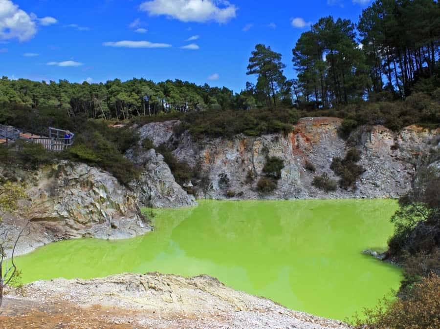 Tauranga: Wai-o-Tapu with Redwood Forest Walk or Forest Spa - From Tauranga port through the Bay of Plenty