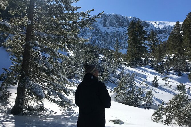 The Best of Bansko: Magical Snowshoeing Adventure & SPA - What the five-hour walk feels like
