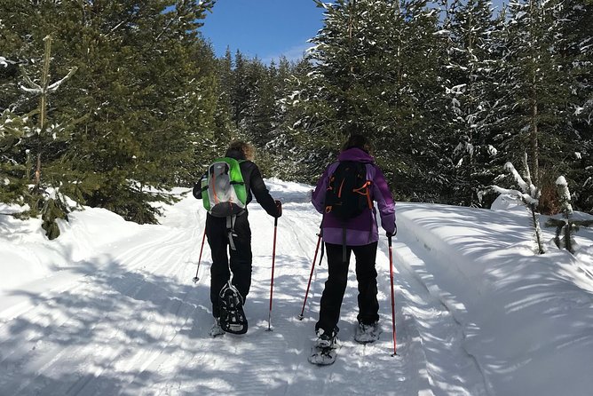 The Best of Bansko: Magical Snowshoeing Adventure & SPA - Pirin National Park, where the day earns its name