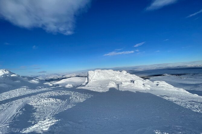 The Best of Sofia: Magical Snowshoeing Adventure in Vitosha & SPA - What the vehicle and pickup arrangement mean