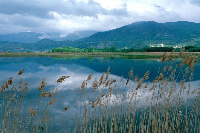 Thessaloniki to Edessa & Pozar Thermal Spa- Private Day Trip - Why this private day trip works from Thessaloniki