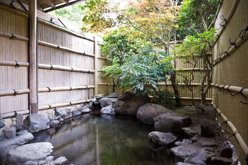 Tokyo: Japanese Spa & Sento Experience with Local - Entering The Natural Hot Baths