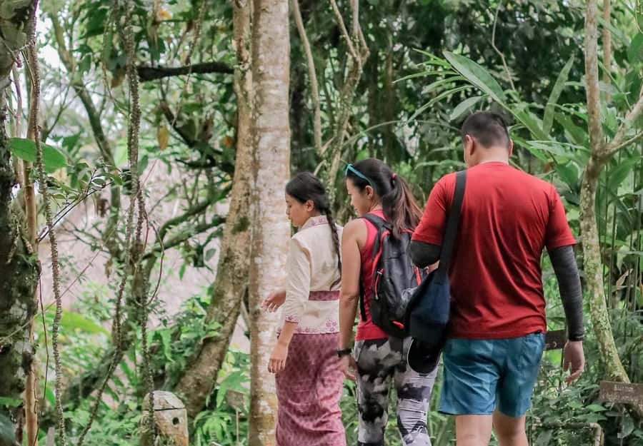 Ubud: Floating Breakfast, Jungle Swing & Spa Romantic Tour - Afternoon tea and optional coffee tasting